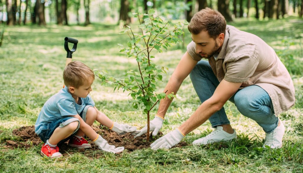 Tree Planting