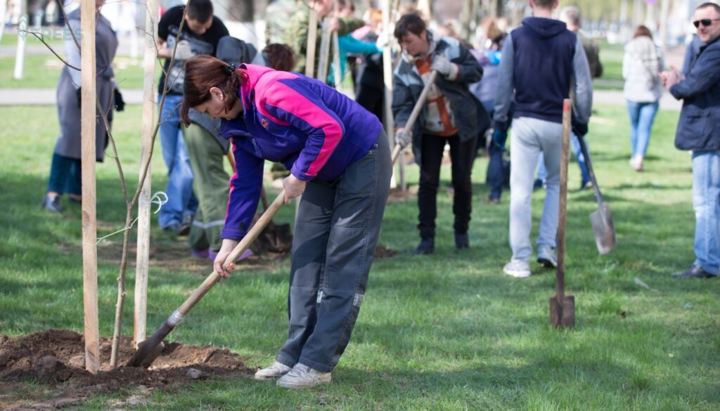 Tree Planting Events