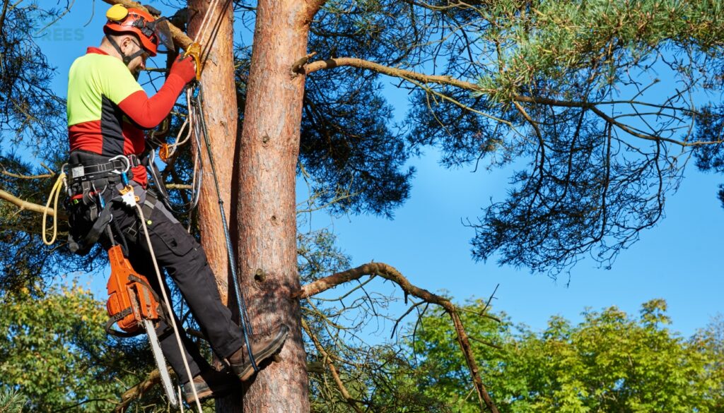 Skills for Professional Arborists