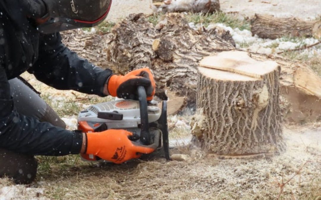 How Many Stumps Can You Grind in a Day?