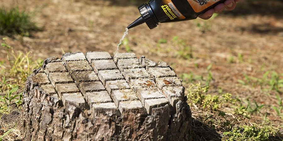 What kills a tree stump quickly?