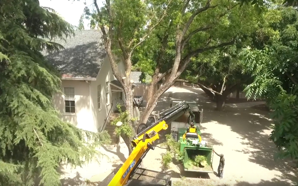 Crane-Assisted Tree Removal Methods