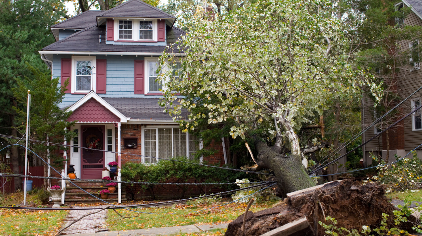 Emergency Tree Care and Storm Damage Restoration A Reliable Services at Your Service