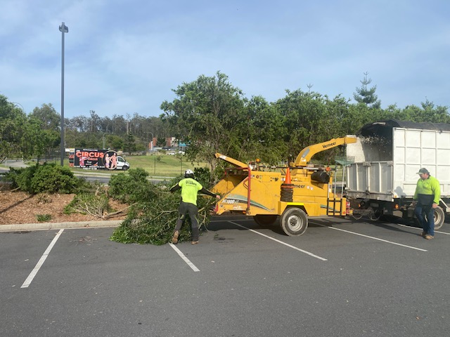 Commercial Tree Services