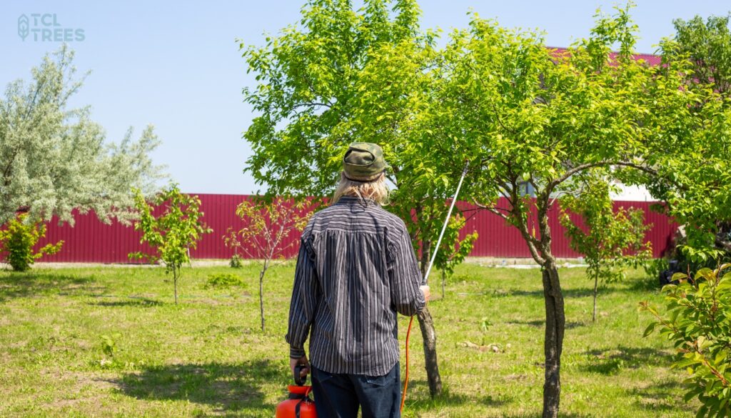 Treatment of Tree Diseases